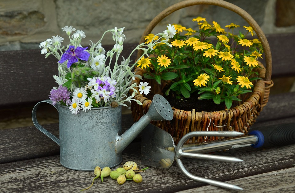 Les chiffres clés de l'horticulture en France